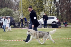 Luka krajowa Zakrzów 11,12.04.2026